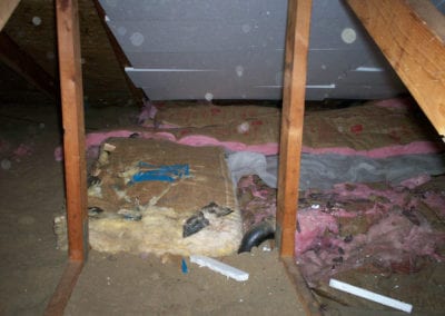- Insulation Services in Northern Michigan - Warmer Mornings Air Sealing & InsulationAttic Before & After
