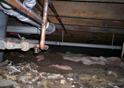 Shallow Crawl Space - Before Image - Crawlspace Encapsulation - Services in Northern Michigan - Warmer Mornings Air Sealing & Insulation